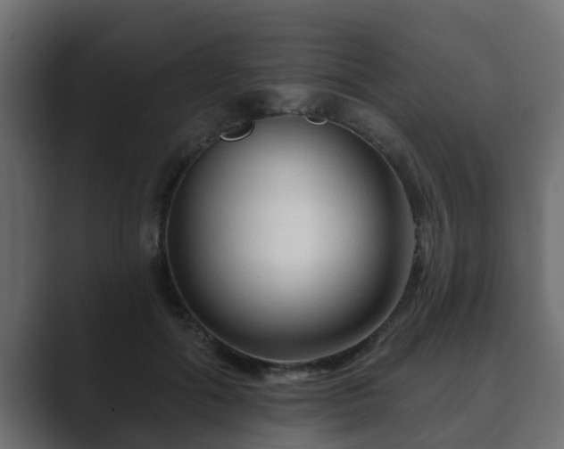 X0000089660602200706281322