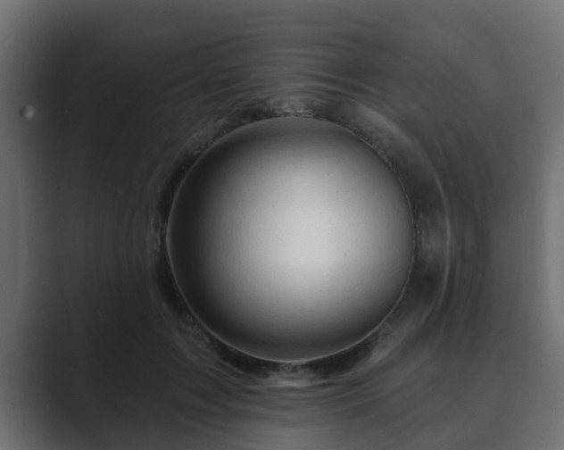 X0000089660603200706281322