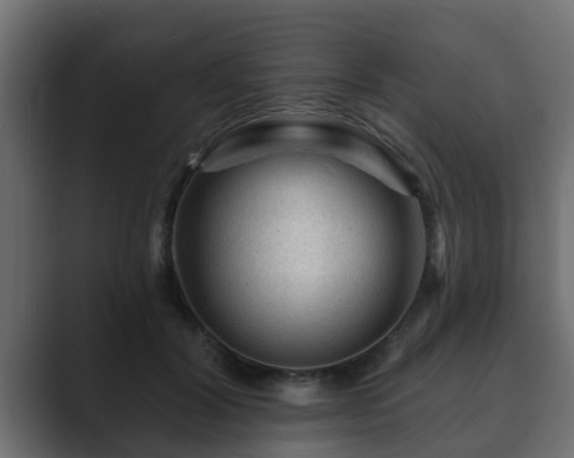 X0000089660604200706281322