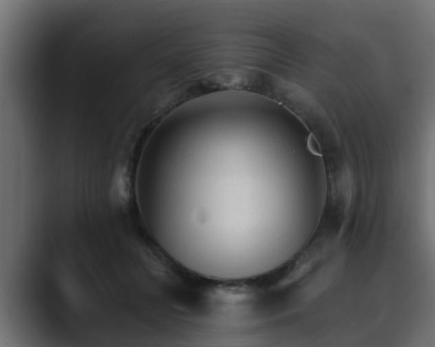 X0000089660606200706281322