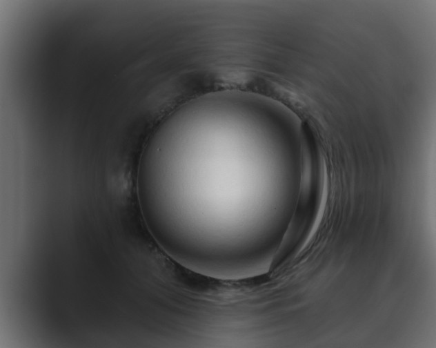 X0000089660608200706281322