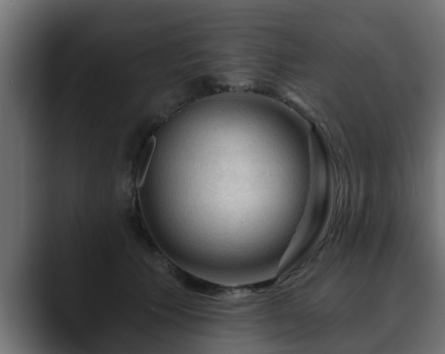 X0000089660609200706281322