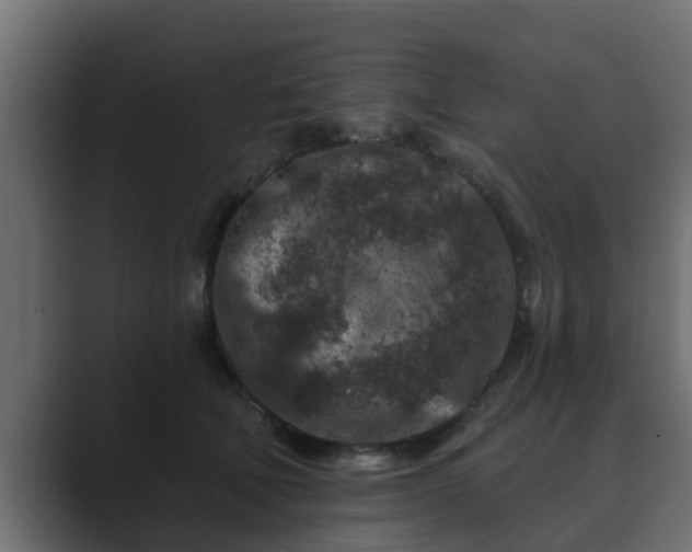 X0000089660610200706281322
