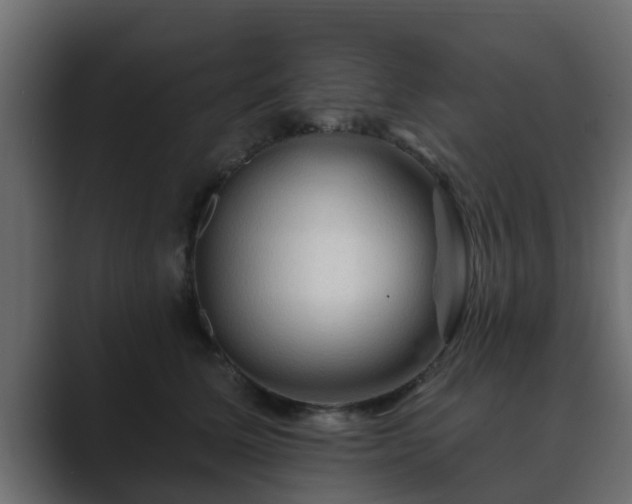 X0000089660611200706281322