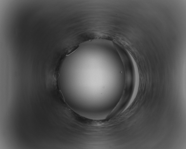 X0000089660613200706281322