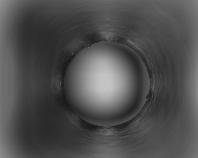 X0000089660615200706281322