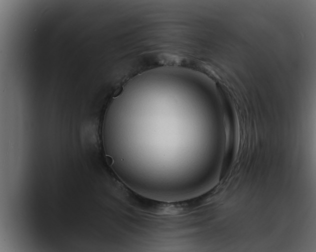 X0000089660616200706281322
