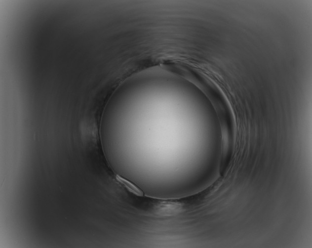 X0000089660617200706281322