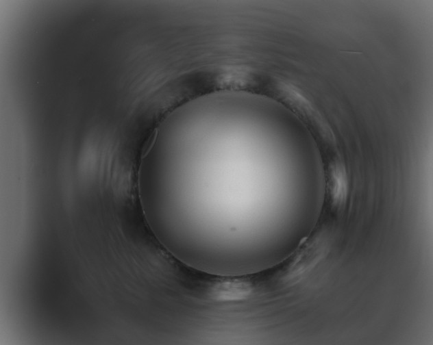 X0000089660619200706281322