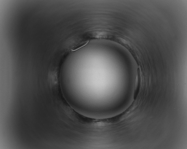 X0000089660620200706281322