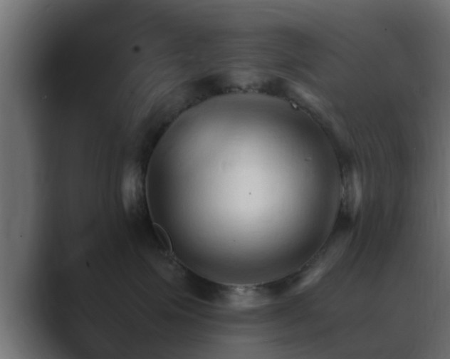 X0000089660623200706281322