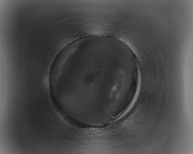 X0000089660626200706281322