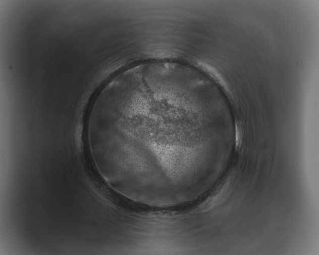 X0000089660627200706281322