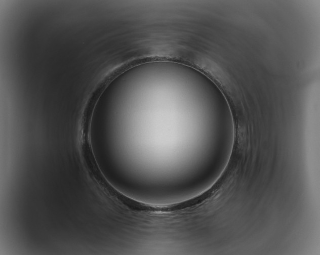 X0000089660628200706281322