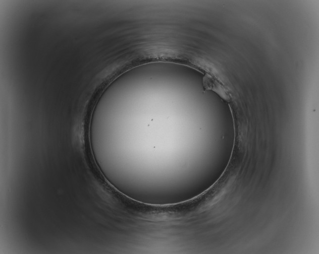 X0000089660629200706281322