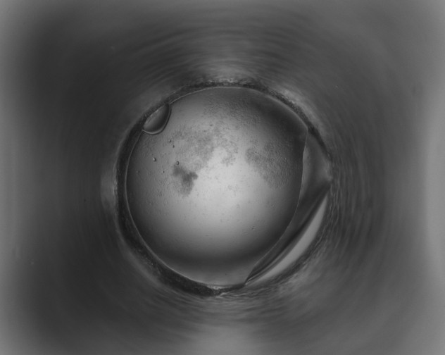 X0000089660630200706281322