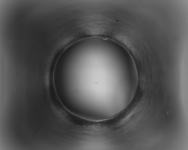 X0000089660631200706281322