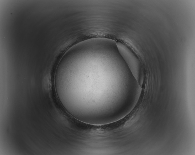 X0000089660634200706281322