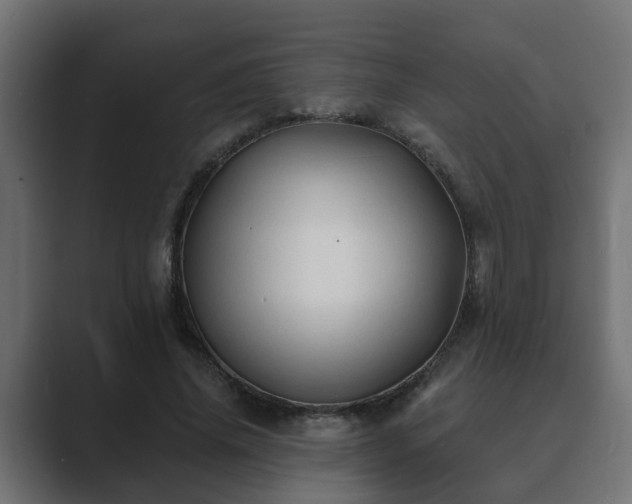 X0000089660636200706281322
