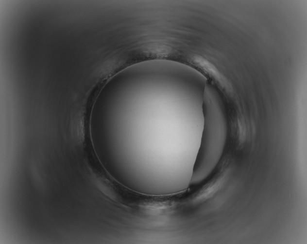 X0000089660638200706281322