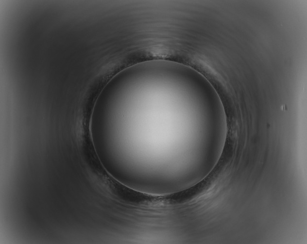 X0000089660639200706281322