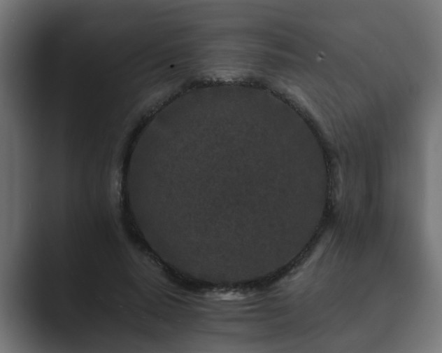X0000089660640200706281322