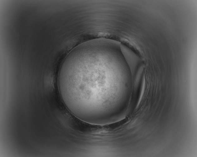 X0000089660643200706281322