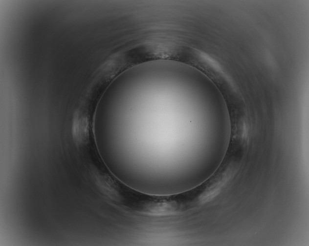 X0000089660646200706281322