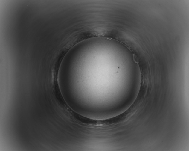 X0000089660647200706281322