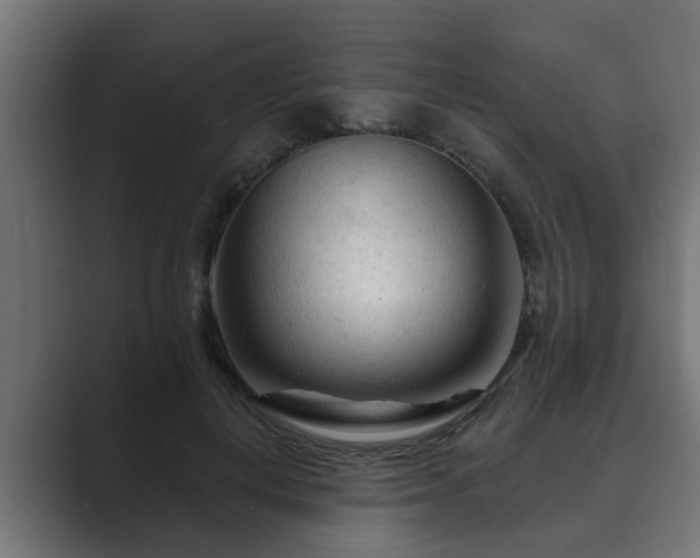 X0000089660648200706281322