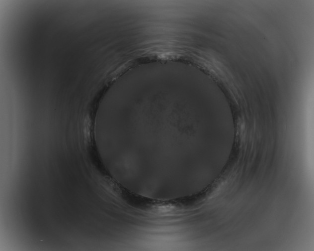 X0000089660650200706281322
