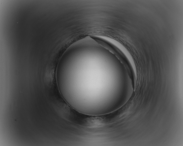X0000089660652200706281322