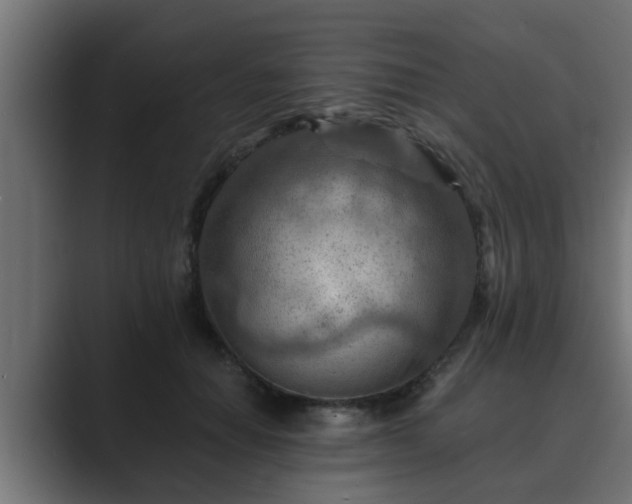 X0000089660654200706281322