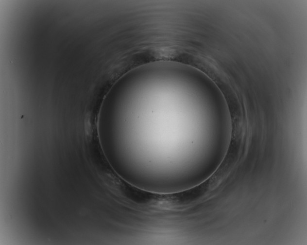 X0000089660655200706281322