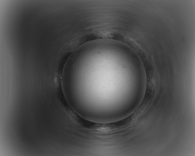 X0000089660658200706281322