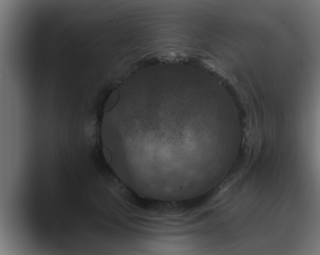 X0000089660659200706281322