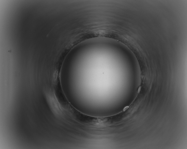 X0000089660660200706281322