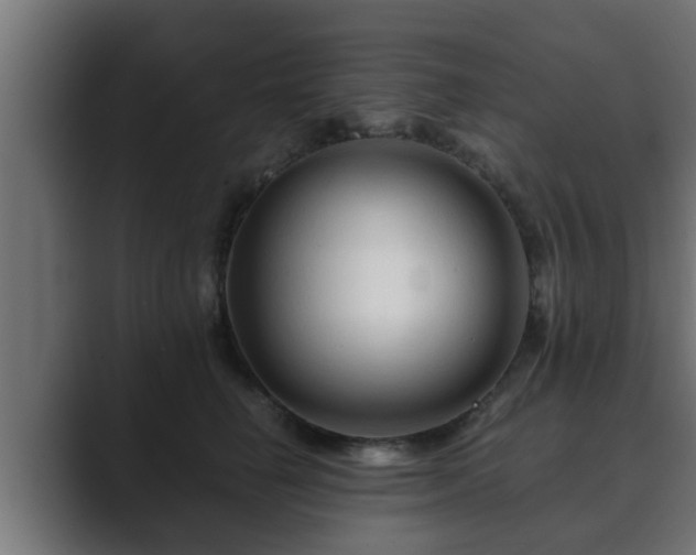 X0000089660662200706281322