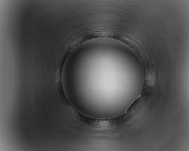 X0000089660665200706281322