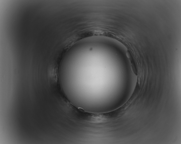 X0000089660666200706281322