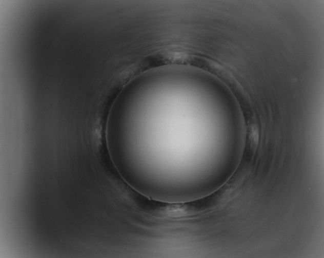 X0000089660668200706281322