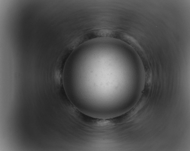 X0000089660669200706281322