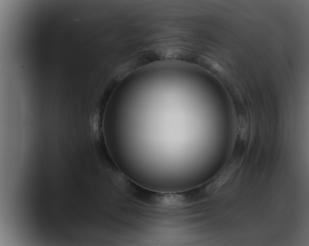 X0000089660670200706281322