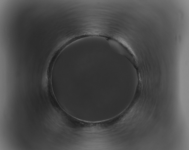 X0000089660674200706281322