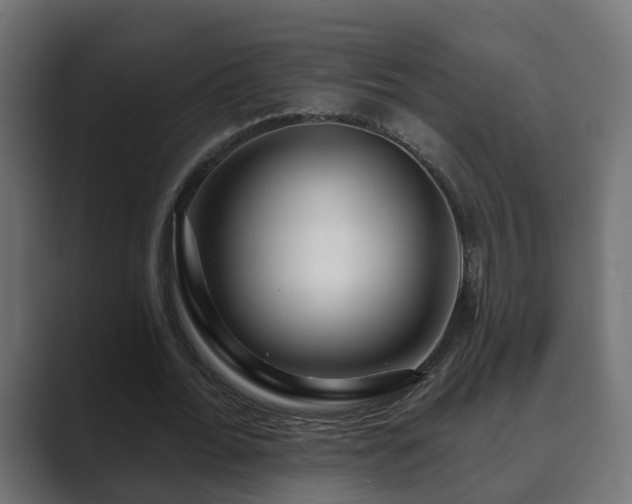 X0000089660676200706281322