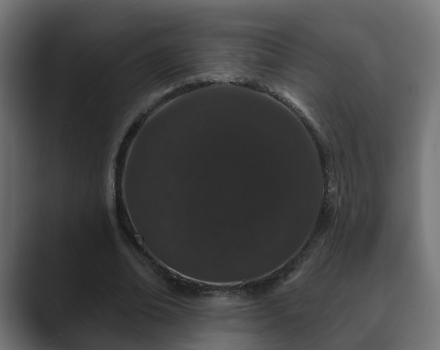 X0000089660678200706281322