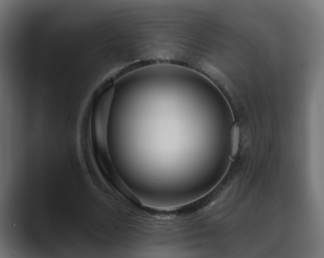 X0000089660680200706281321