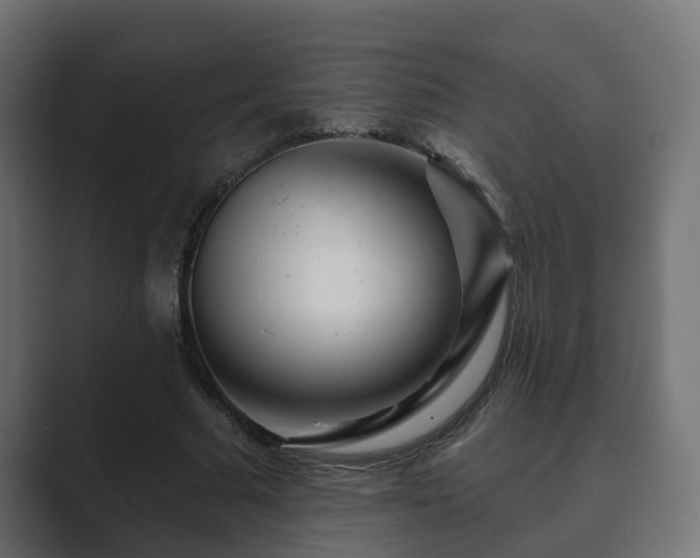 X0000089660681200706281321