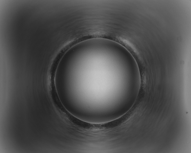 X0000089660684200706281321