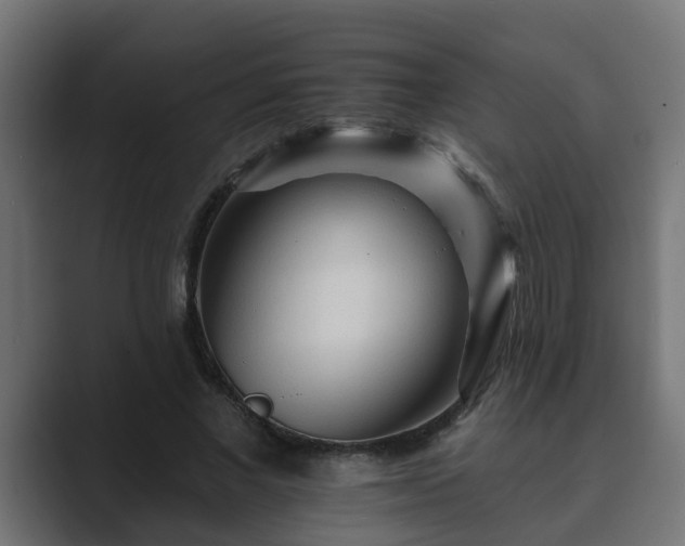 X0000089660685200706281321